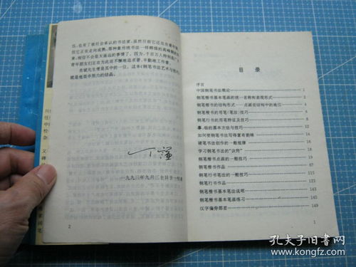 中國鋼筆書法藝術與技巧