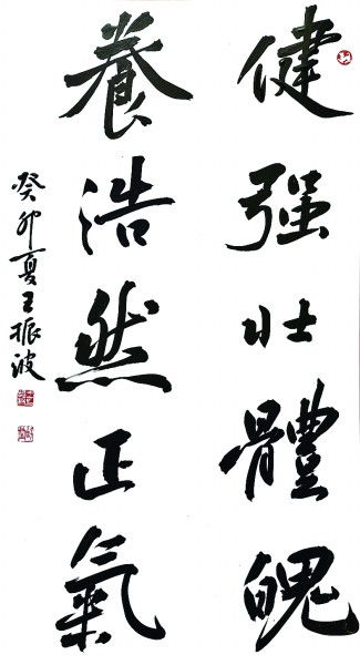 健強(qiáng)壯體魄 養(yǎng)浩然正氣 書法
